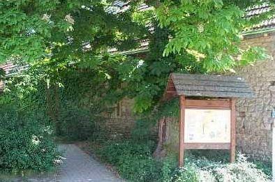 Rim of Elms at the Alzey Gate
