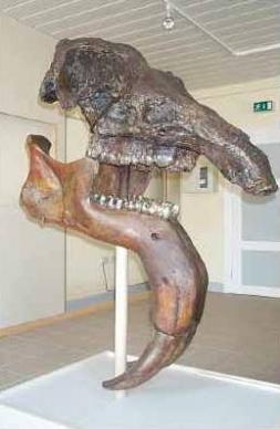 Dinotherium