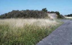 The Huckenhof Track